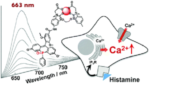 鈣離子成像原料？